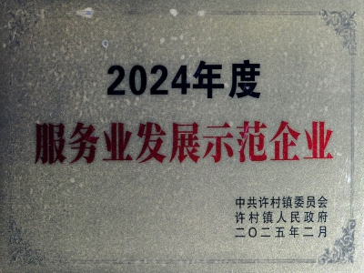 Demonstration Enterprise for Service Industry Development