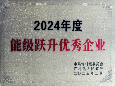 Energy Level Leap Outstanding Enterprise